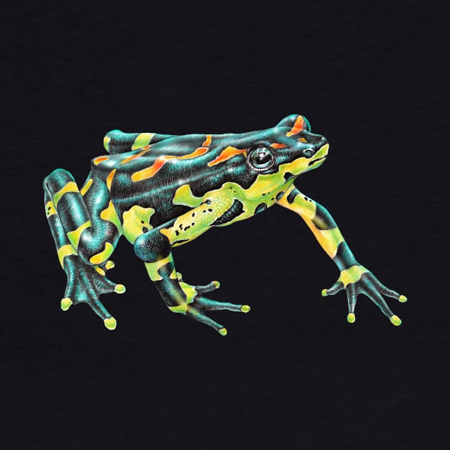 Harlequin Toad by Tim Jeffs Art